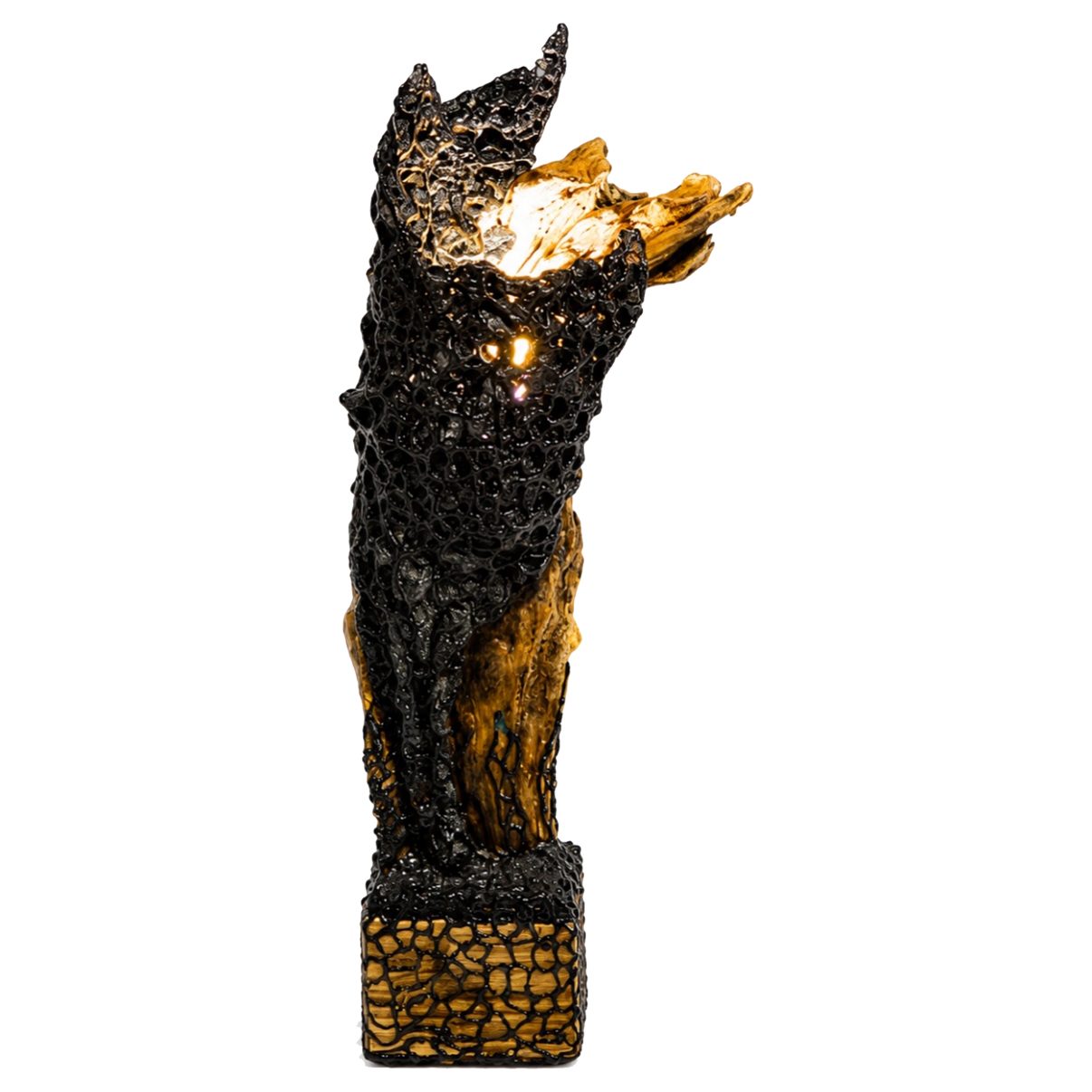 Racine d'Éternité — détail de la lampe, bois flammé sur socle noir