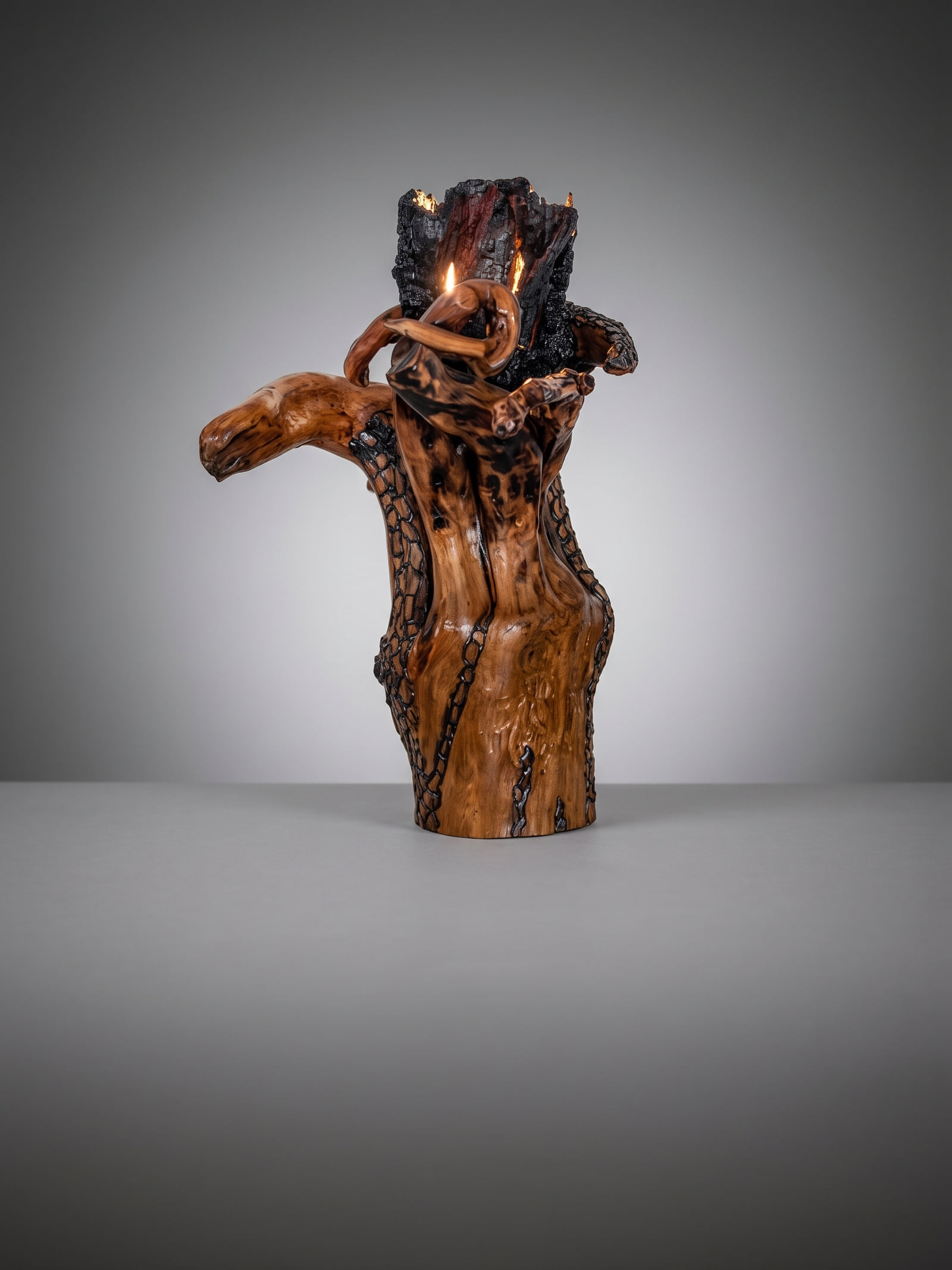Sculpture lumineuse en bois flammé, branches torsadées et dentelle noire